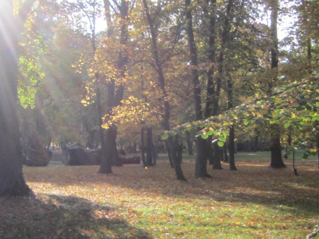 Csigahaz Panzio Hotel Gyula Bilik gambar