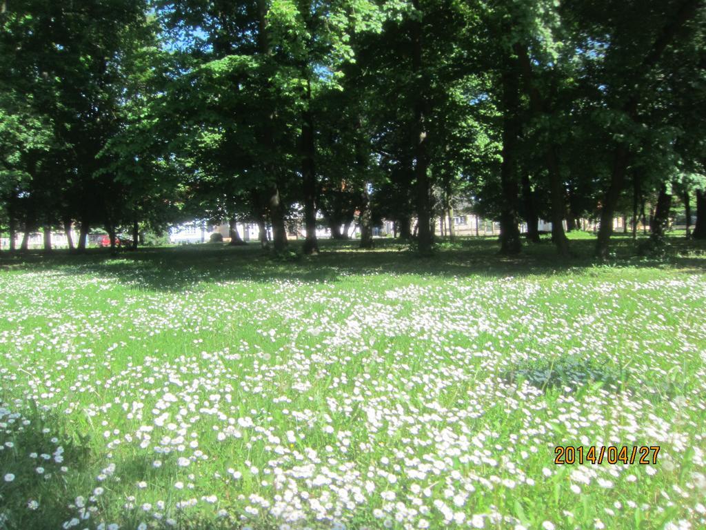 Csigahaz Panzio Hotel Gyula Bilik gambar