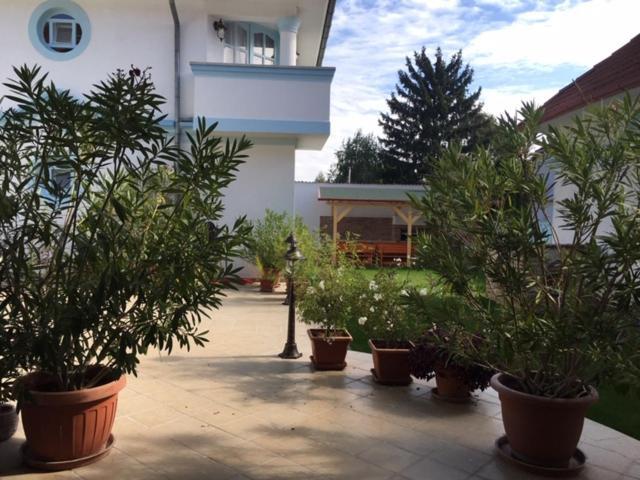 Csigahaz Panzio Hotel Gyula Luaran gambar