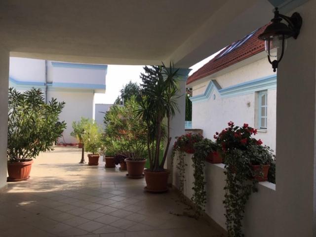Csigahaz Panzio Hotel Gyula Luaran gambar